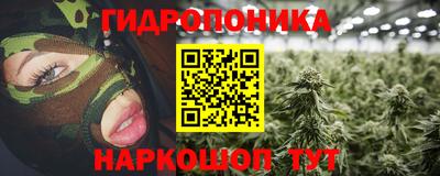 наркотики Новозыбков