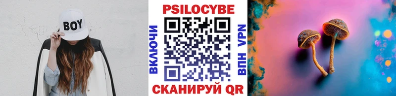 Галлюциногенные грибы Psilocybe  Южно-Сахалинск 