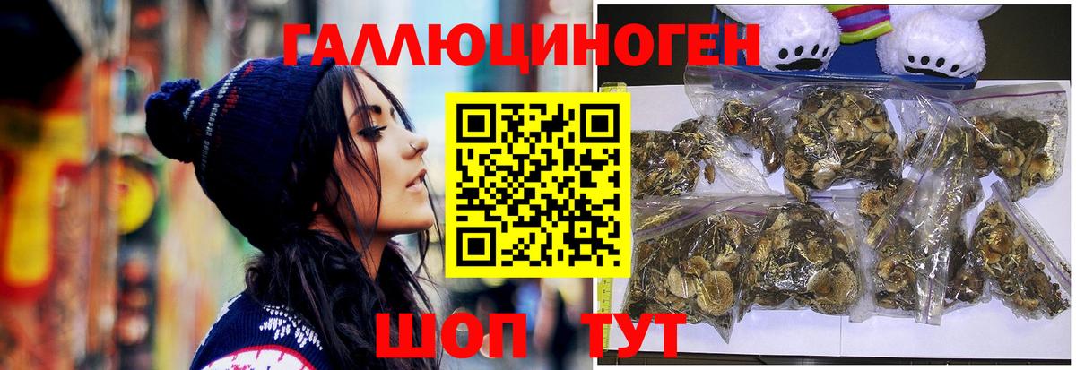 Псилоцибиновые грибы мицелий Южно-Сахалинск